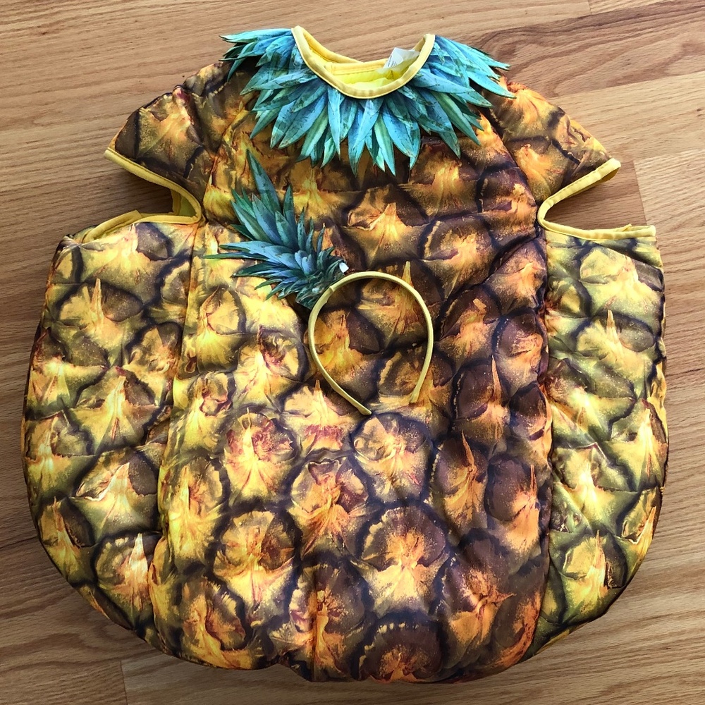 Adult Pineapple Halloween Costume from Target
